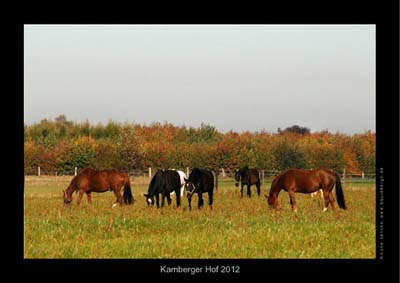 Herbstimpression Foto: Lune Jancke